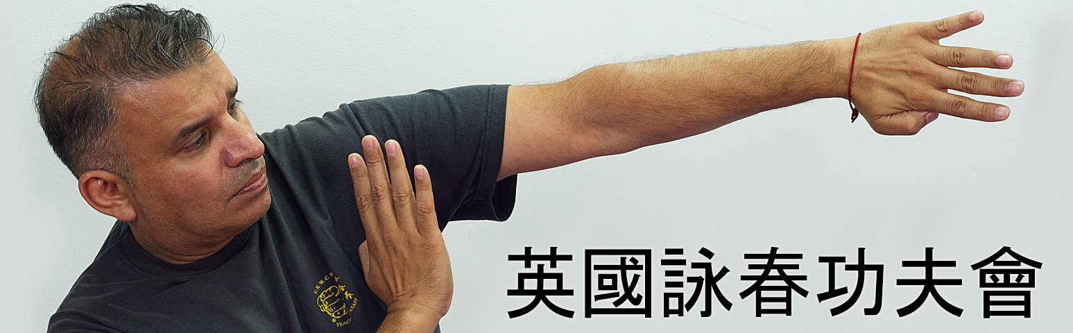 Welling Wing Chun